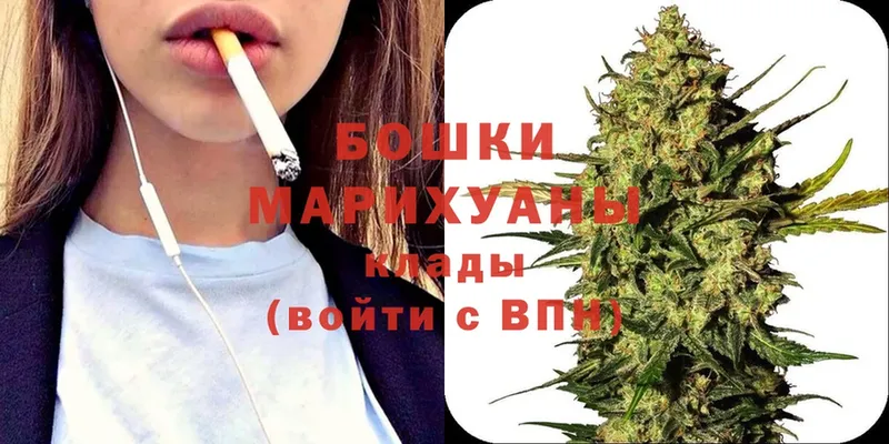 продажа наркотиков  Мичуринск  Шишки марихуана THC 21% 